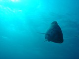 Pousada em Fernando de Noronha